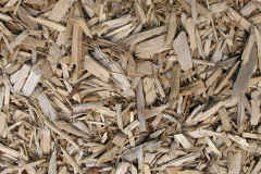 biomass boilers Pen Y Coed